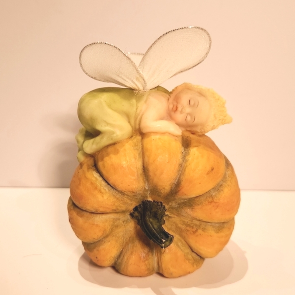 Fairy baby sleeping on a Pumpkin
